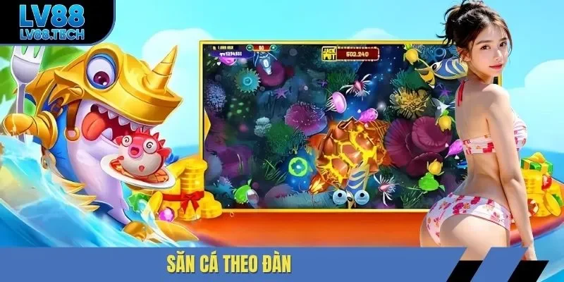 Săn cá theo đàn